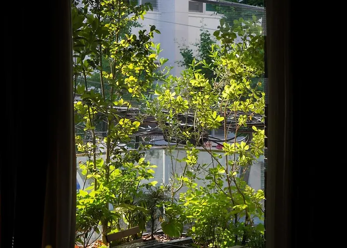 Good Ol' Days Busan